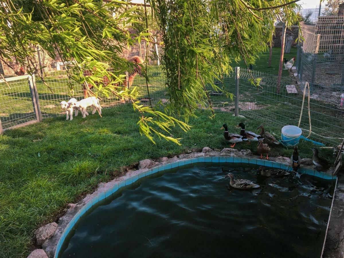 Assos Alis Farm Boutique Hotel & Spa 外观 照片