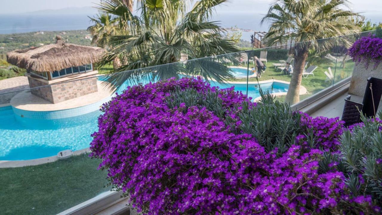 Assos Alis Farm Boutique Hotel & Spa 外观 照片