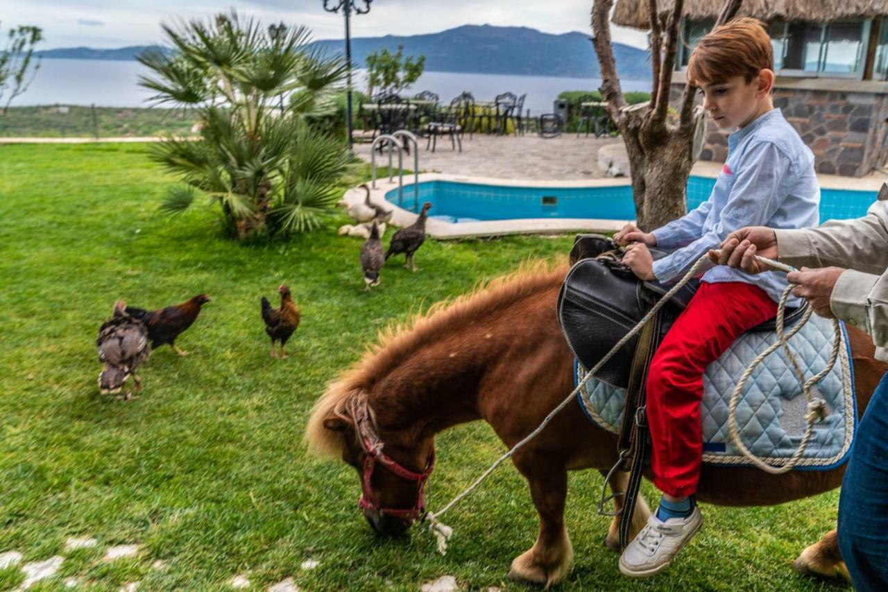 Assos Alis Farm Boutique Hotel & Spa 外观 照片