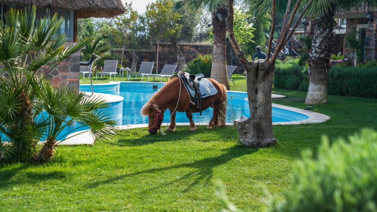 Assos Alis Farm Boutique Hotel & Spa 外观 照片