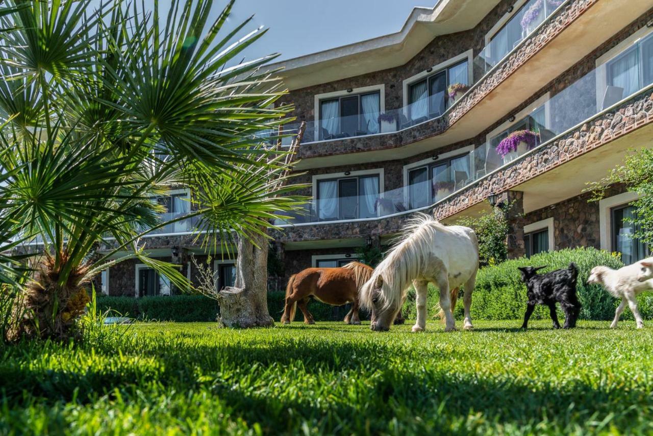 Assos Alis Farm Boutique Hotel & Spa 外观 照片