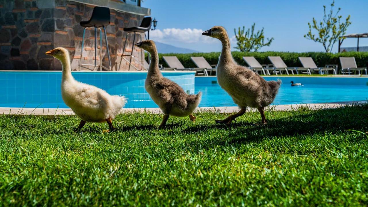 Assos Alis Farm Boutique Hotel & Spa 外观 照片