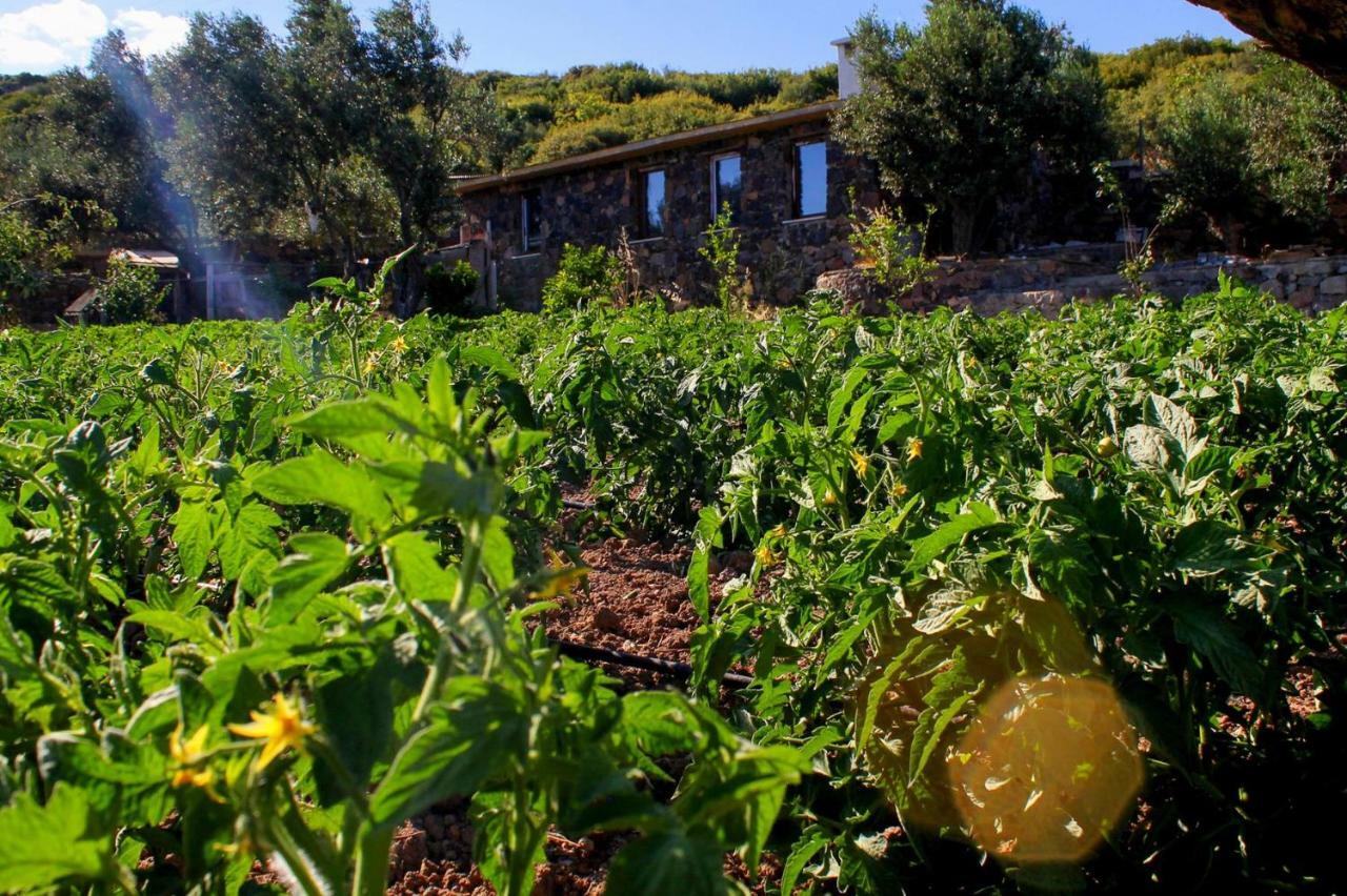 Assos Alis Farm Boutique Hotel & Spa 外观 照片