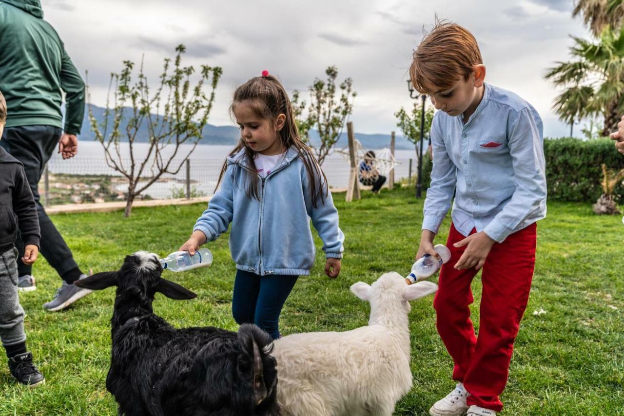 Assos Alis Farm Boutique Hotel & Spa 外观 照片