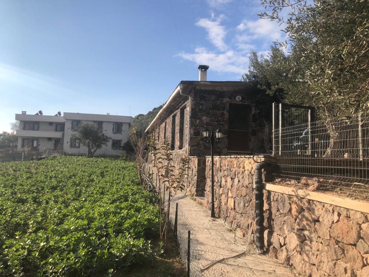 Assos Alis Farm Boutique Hotel & Spa 外观 照片